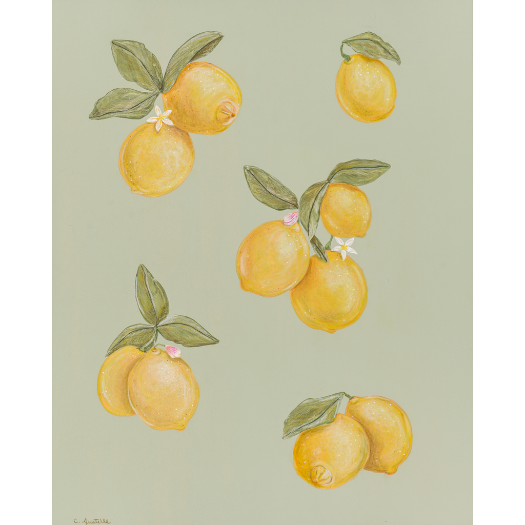 lemons | 16 x 20