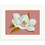 Vintage Magnolia | 8 x 10