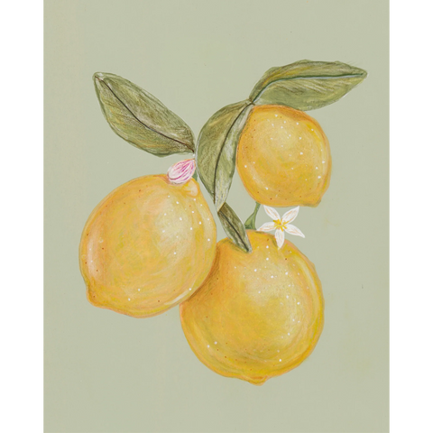 Fruit and Florals