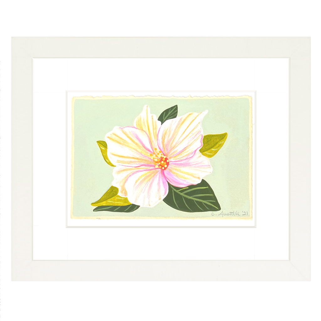 Hibiscus, Summer Key Lime Study